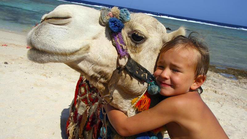 child-camel-hurghada-egypt.jpg
