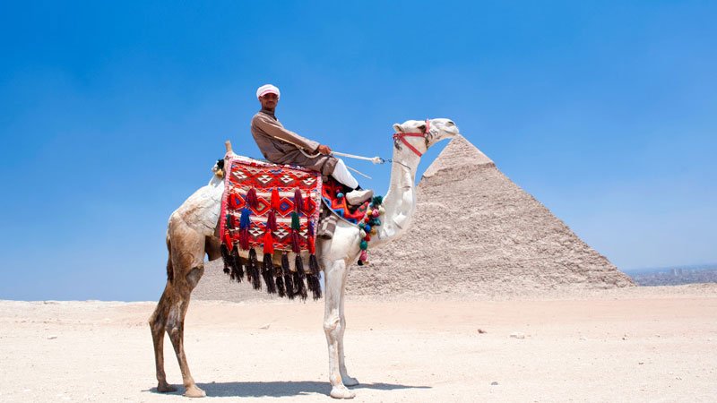egypt-camel-pyramids.jpg
