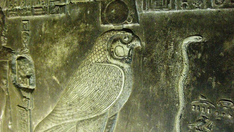 falcon-hathor-temple-dendera-egypt.jpg