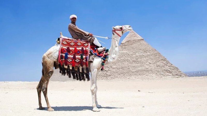 Camel rider in fron of Pyramids.jpg