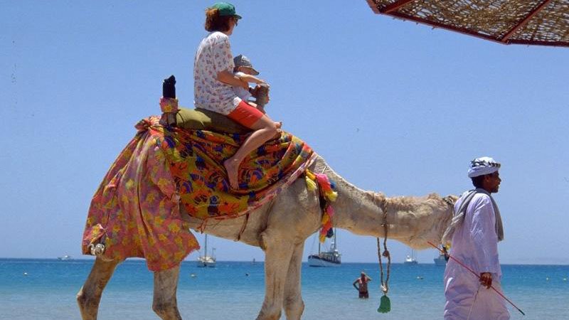 family-camel-hurghada-egypt.jpg
