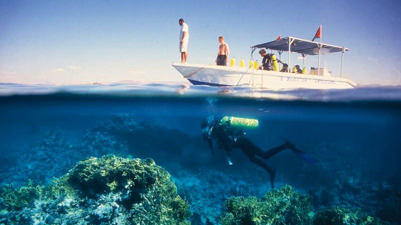diving-aqaba-jordan.jpg